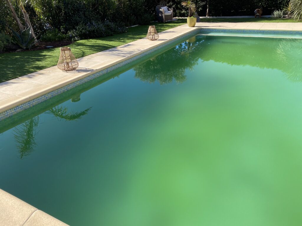 photo de piscine dont l'eau est verte